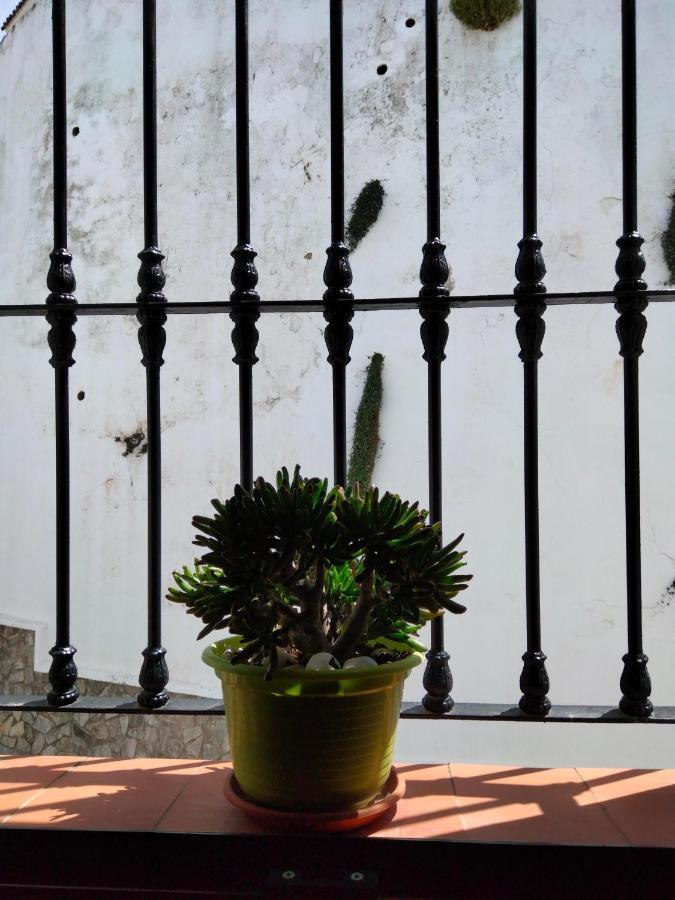 Casa Vista Βίλα Alcalá de los Gazules Εξωτερικό φωτογραφία