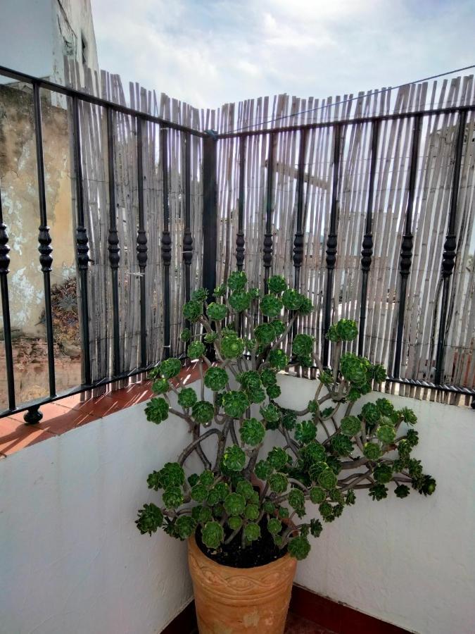 Casa Vista Βίλα Alcalá de los Gazules Εξωτερικό φωτογραφία