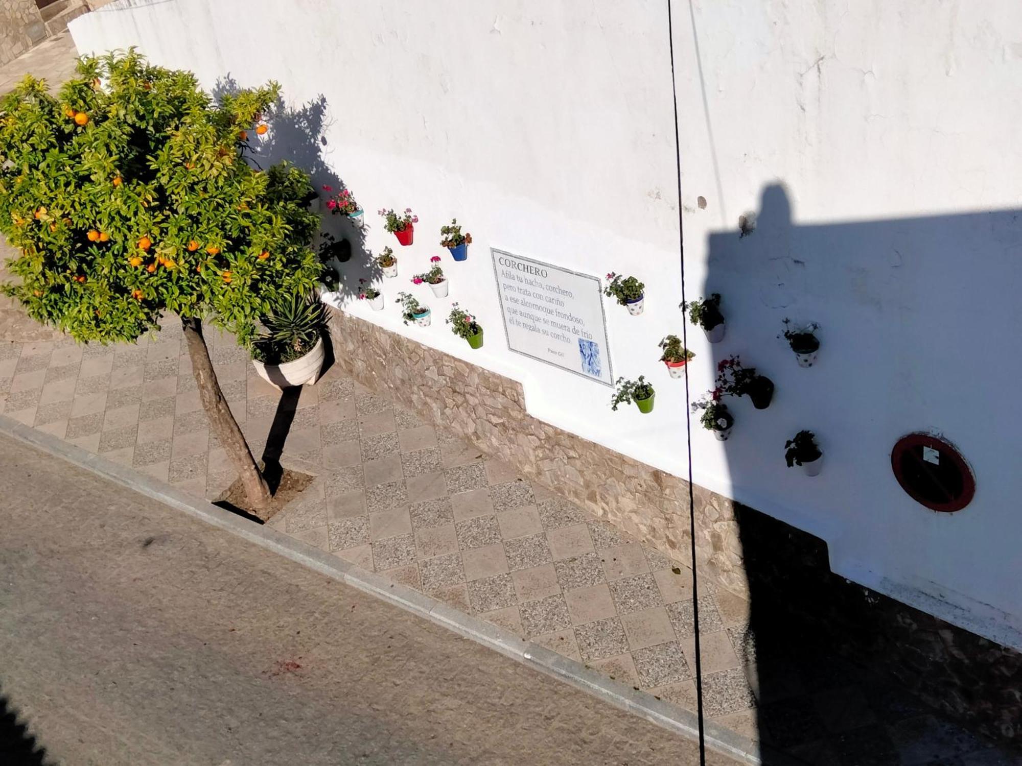 Casa Vista Βίλα Alcalá de los Gazules Εξωτερικό φωτογραφία