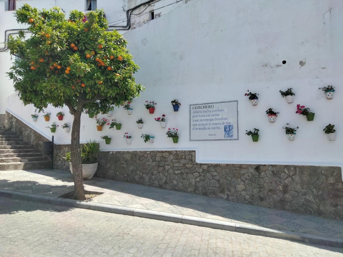 Casa Vista Βίλα Alcalá de los Gazules Εξωτερικό φωτογραφία